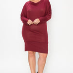 Draped Neck Long Sleeve Dress