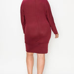 Draped Neck Long Sleeve Dress