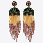 Beaded Fringe Dangle Earrings